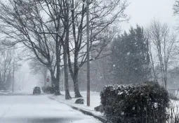 Neige tombant dans la région du Grand Toronto avant l'arrivée de pluies verglaçantes et abondantes