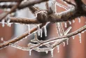 Alerte sur le gel des précipitations toujours en vigueur dans la région du Grand Toronto, avec une amélioration prévue des conditions météorologiques.